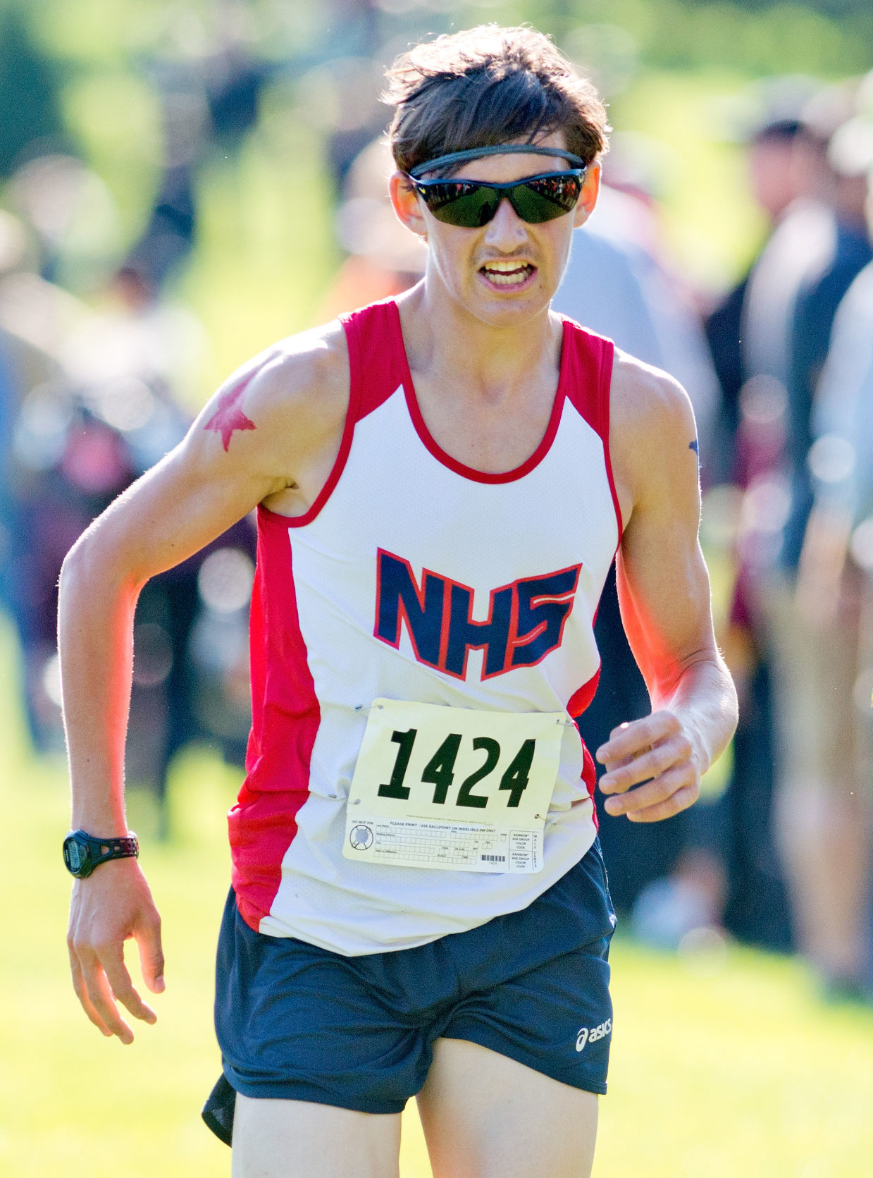 Cross Country Holstein